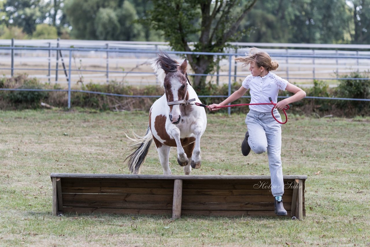 Bild 33 - Pony Akademie Turnier